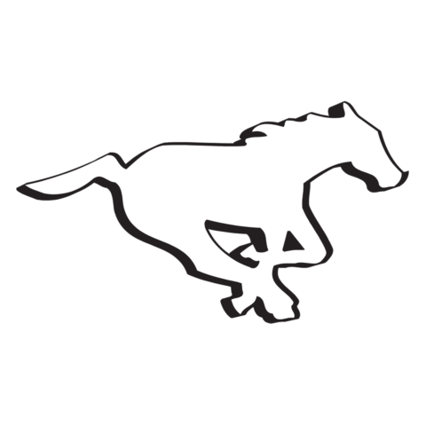 Calgary Stampeders