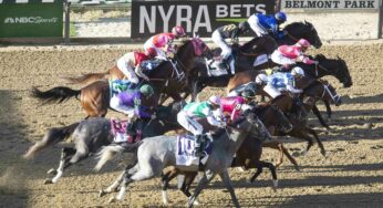 Raymond Track Report Tampa Bay Downs Free Horse Racing Picks (12/09/20)
