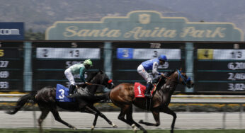 Ron Raymond’s Del Mar Free Horse Racing Picks 11/20/20