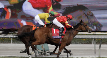 Raymond Track Report Zia Park Free Horse Racing Picks (12/08/20)