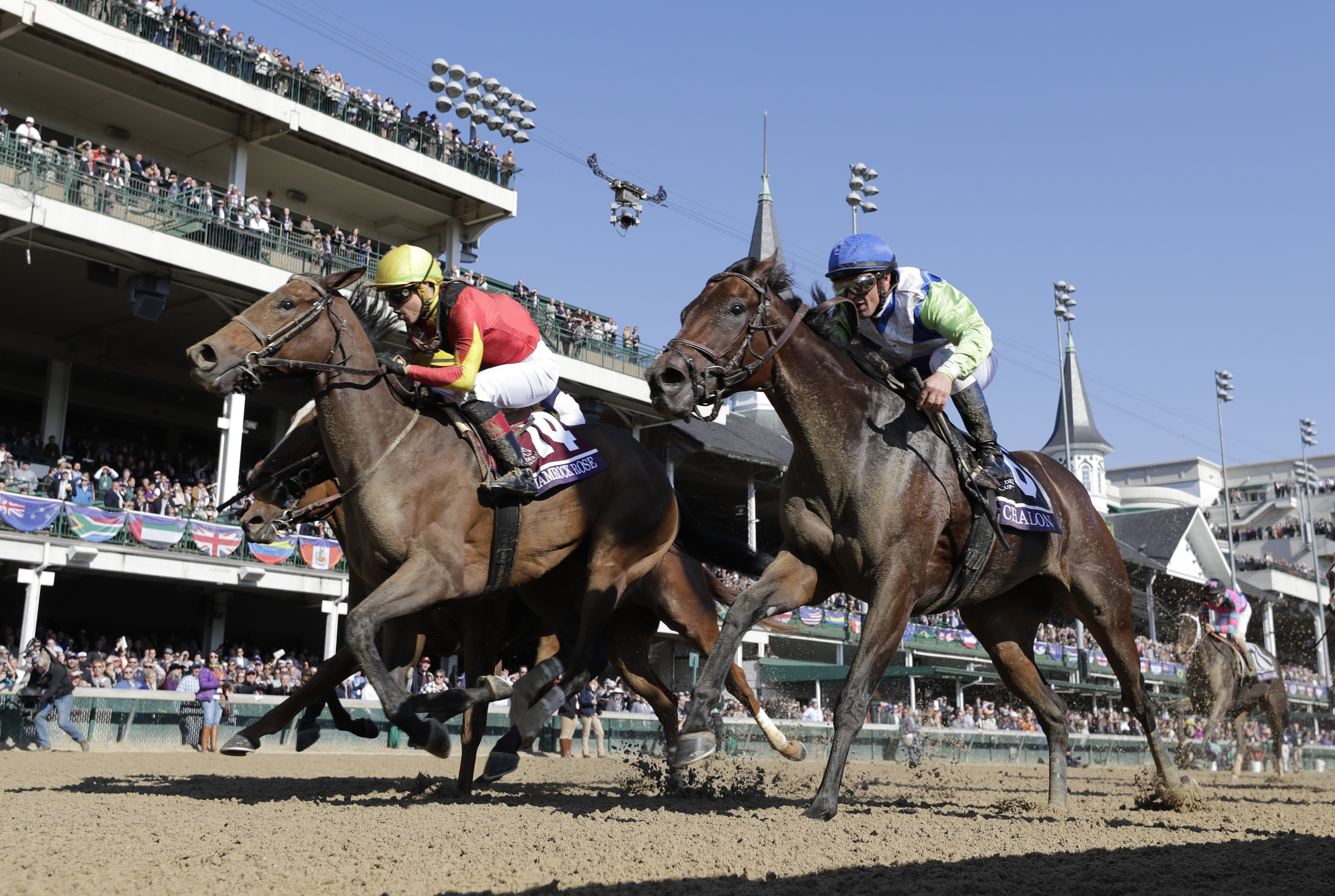 Breeders Cup Horse Racing