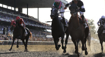 Ron Raymond’s Parx Racing Free Horse Racing Picks (12/01/20)