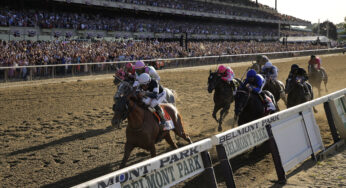 Ron Raymond’s Aqueduct Racetrack Free Horse Racing Picks 11/22/20