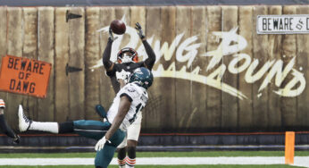 NFL Market Correction Report for Week 14