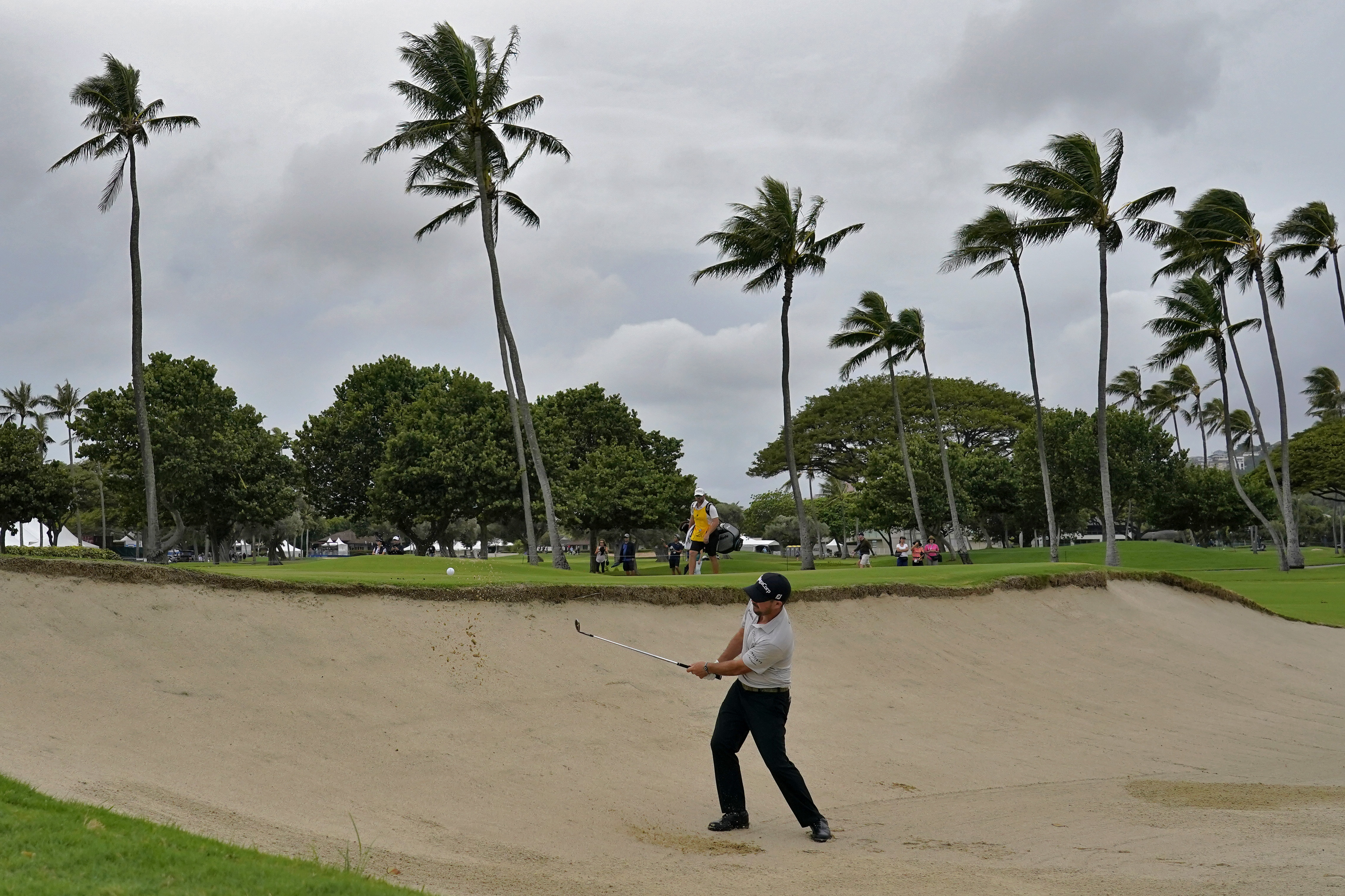 Sony Open Golf Picks