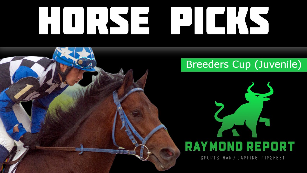 breeders cup picks