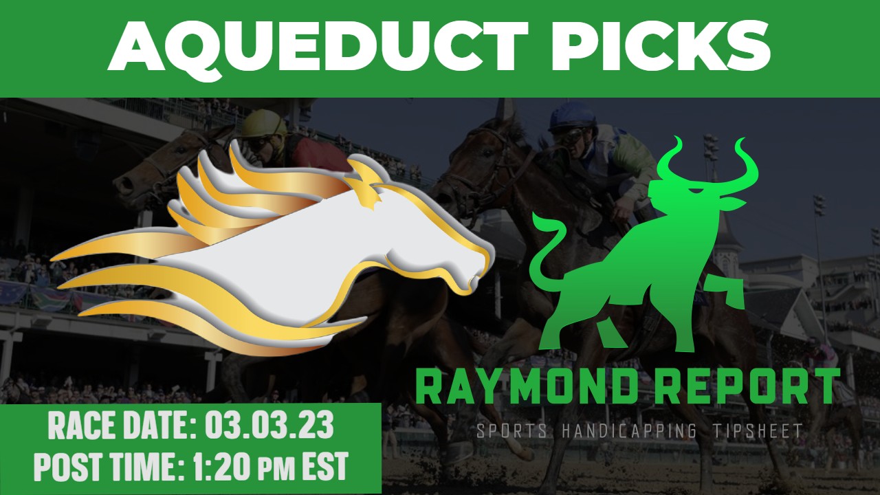 Aqueduct Horse Racing Picks