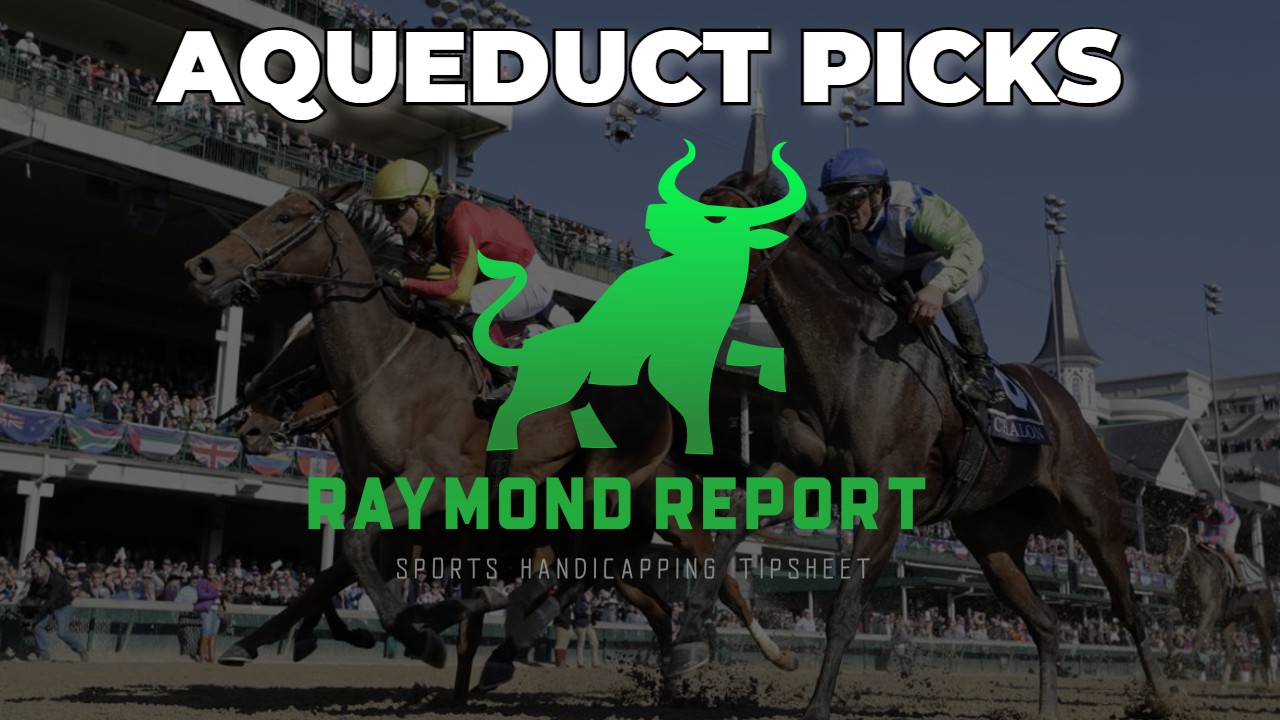 aqueduct horse picks