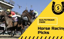Gulfstream Park Picks