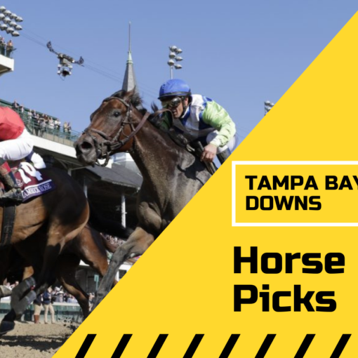 Tampa Bay Downs