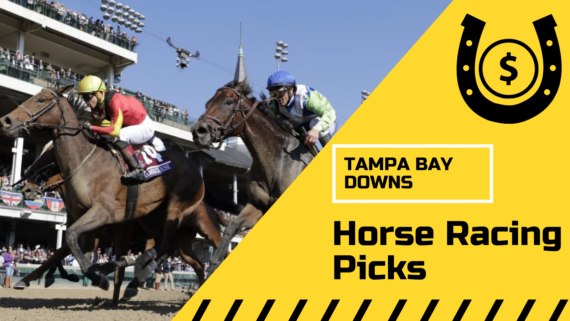 Tampa Bay Downs