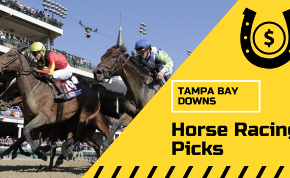 Tampa Bay Downs