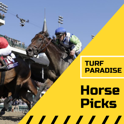 horse racing picks