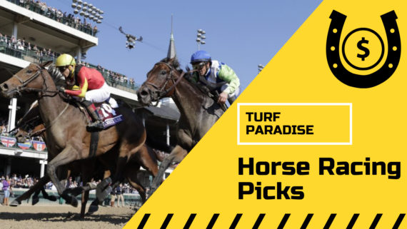 horse racing picks