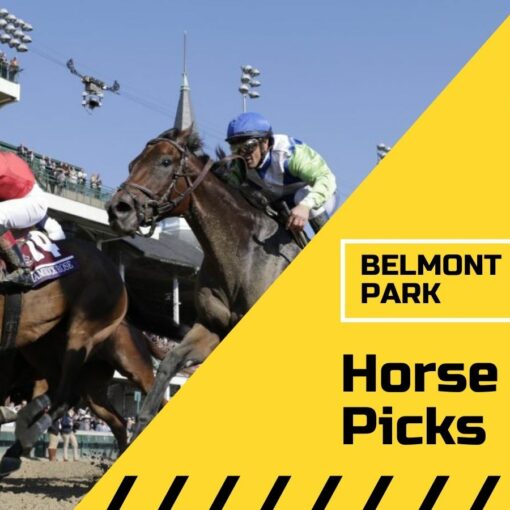 Belmont Park Picks