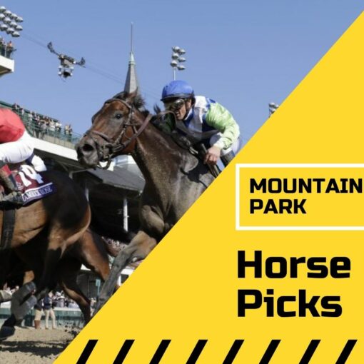 Mountaineer Park picks