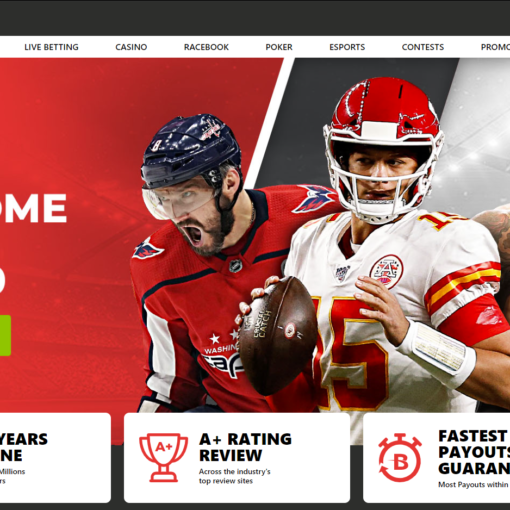 Betonline Sportsbook