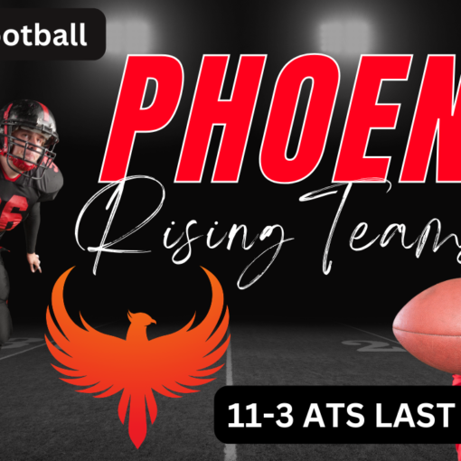 Phoenix Rising Teams