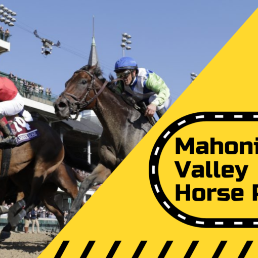 Mahoning Valley horse racing picks