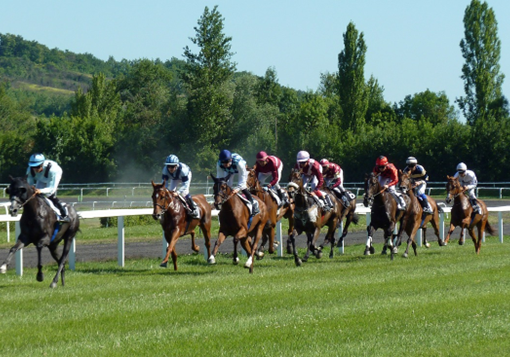 horse racing