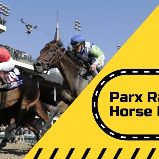 sports betting picks