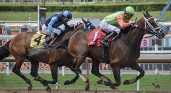 <strong>Betting on the Belmonts Stakes 2025: Which Horses Have the Best Odds?</strong>