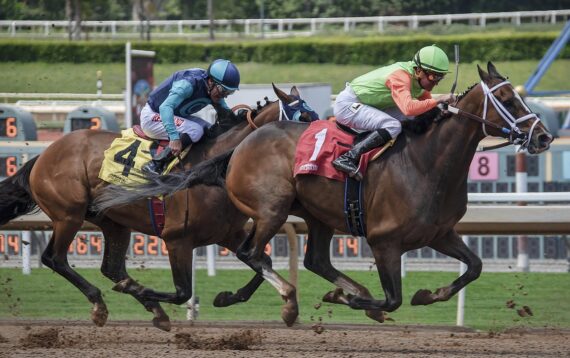 Belmont Stakes Betting