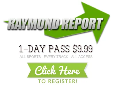 1 Day Pass 3